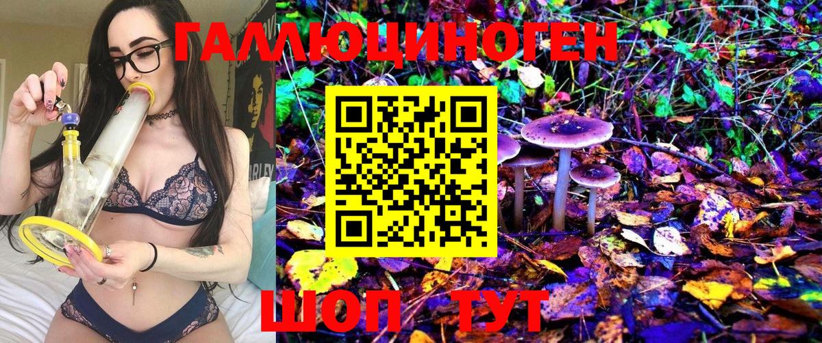 Псилоцибиновые грибы GOLDEN TEACHER  Вход с VPN  Псилоцибиновые грибы MAGIC MUSHROOMS  Югорск 